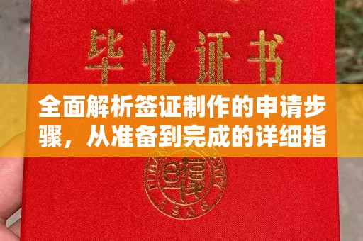 丹巴全面解析签证制作的申请步骤，从准备到完成的详细指南